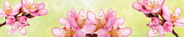 Крючок К5959MBK, матовый черный (40/400)